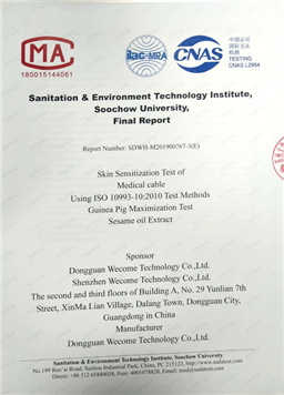 Skin sensitization test report 1